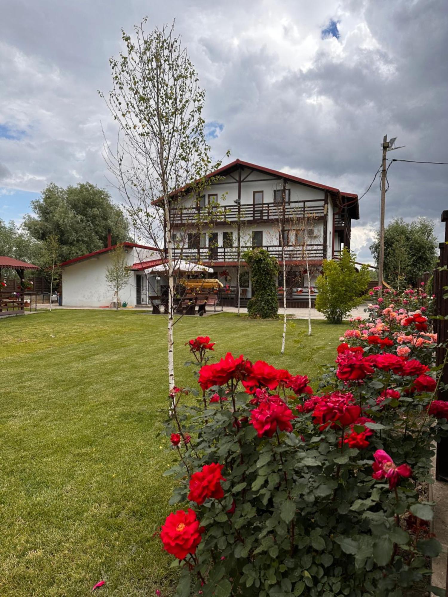Casa Carp Calarasi Hotel Bagian luar foto